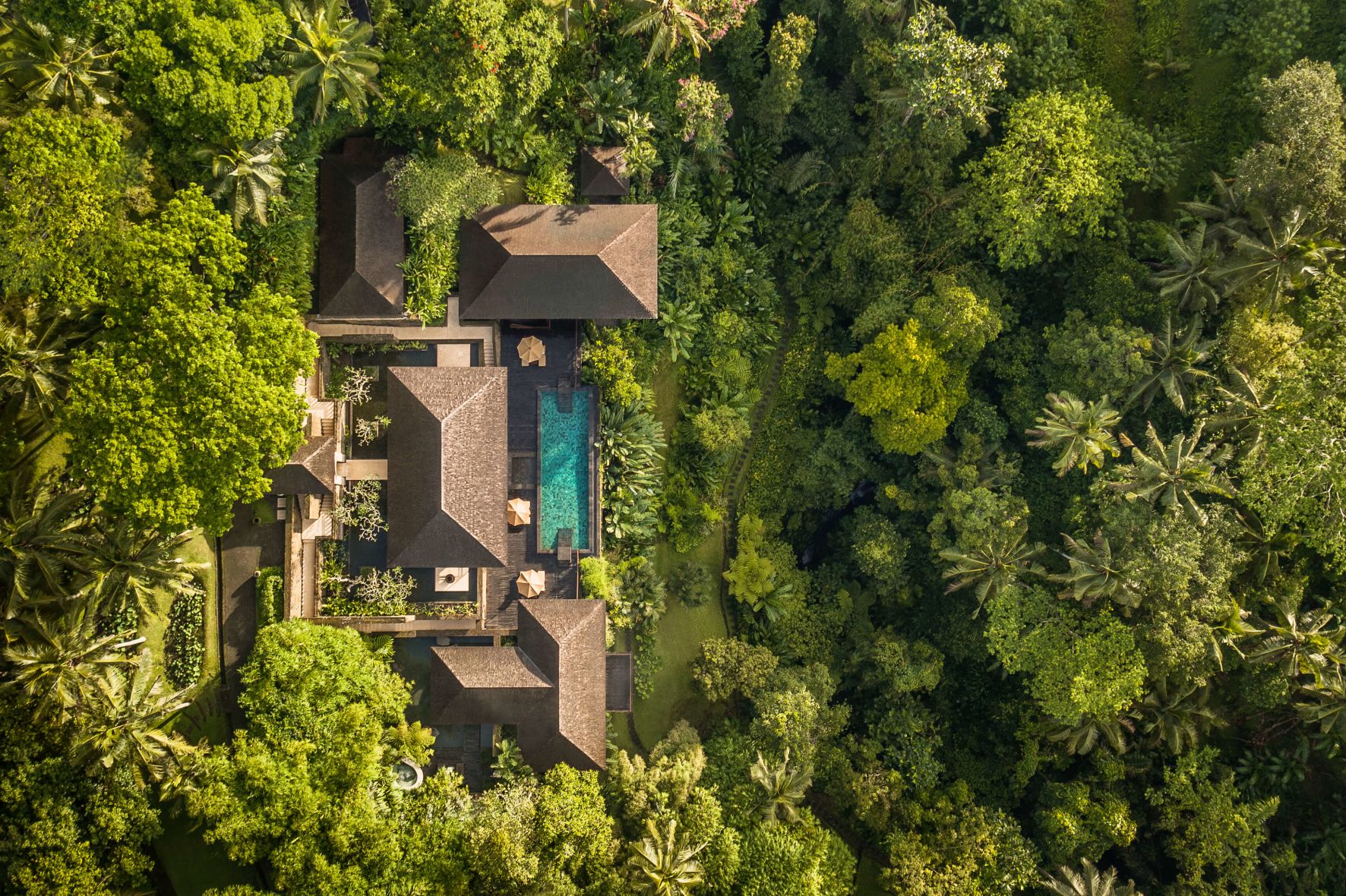 A House Surrounded By Trees