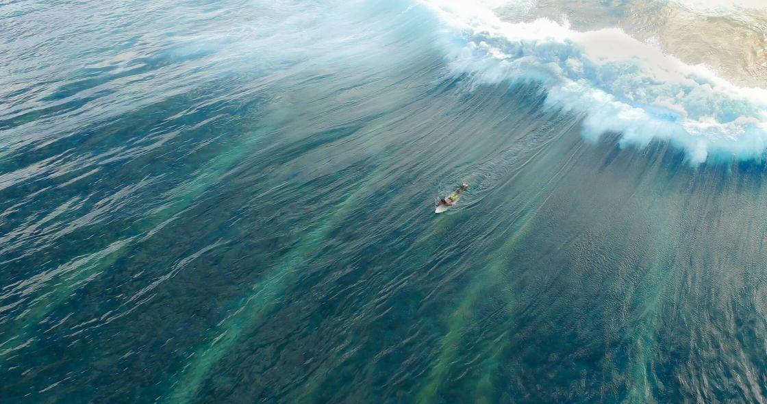 A Person Swimming In A Body Of Water