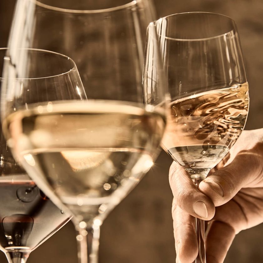 Tastings for wine enthusiasts