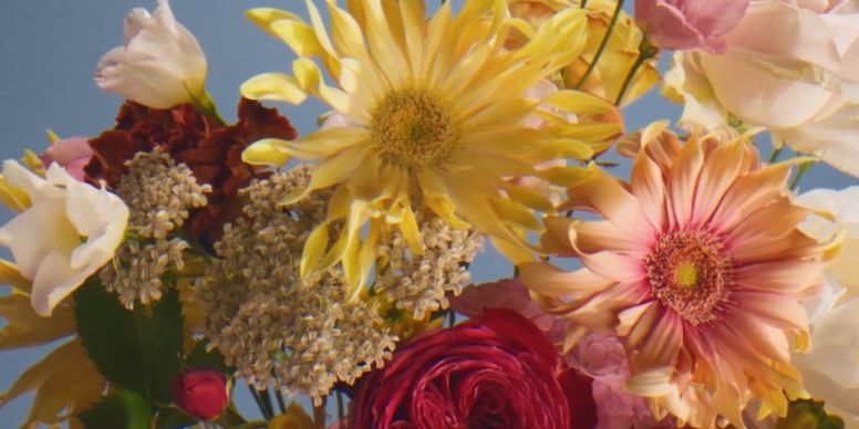 A Group Of Flowers