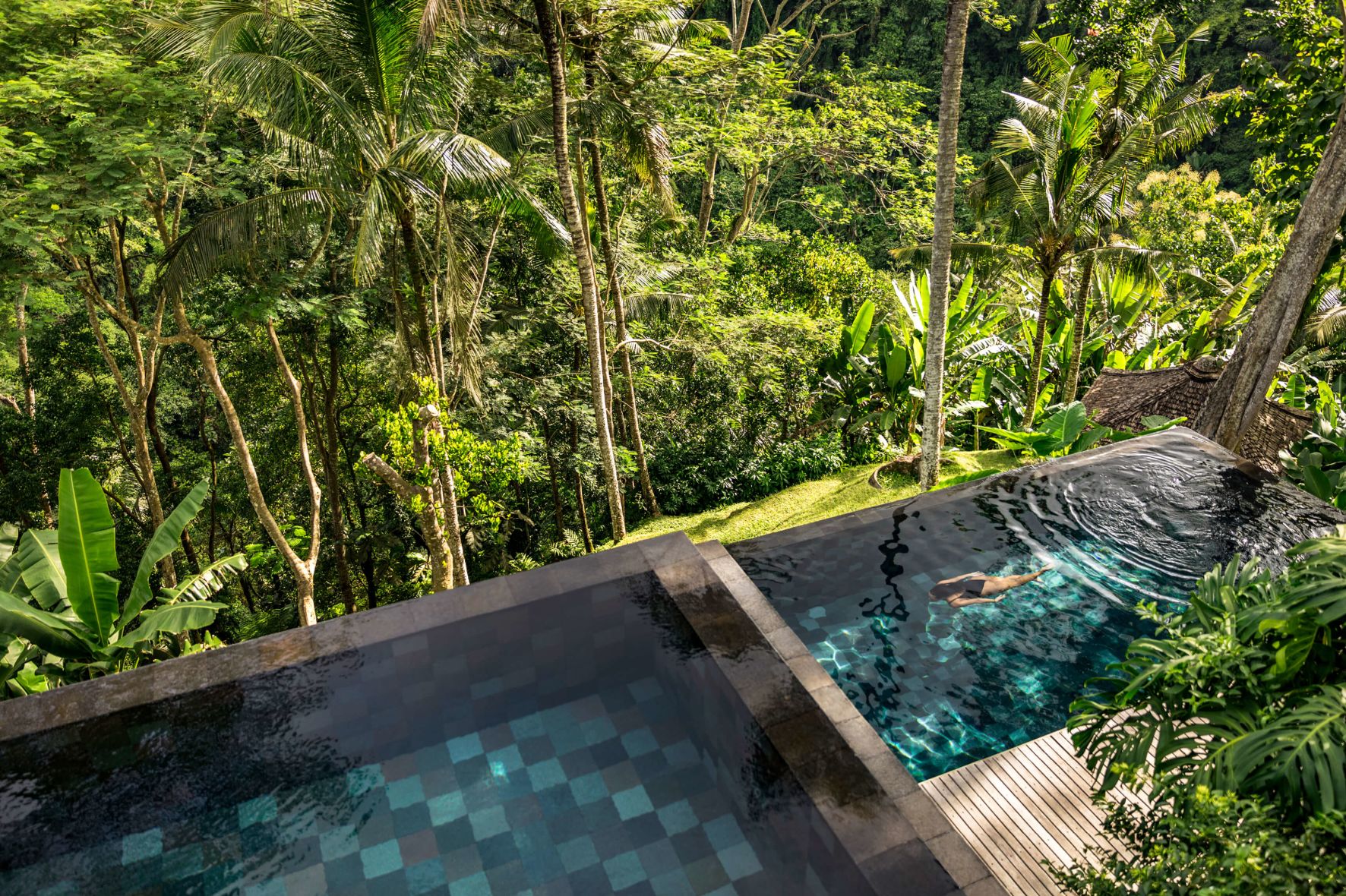 A Pool In A Forest