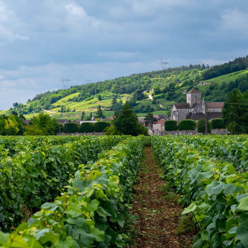 Tastings for red wine enthusiasts