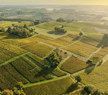Bordeaux Wine 101 - Thumbnail