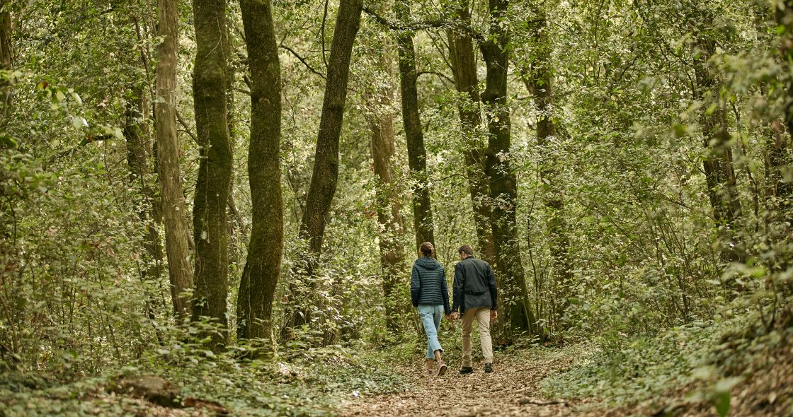 A Man And Woman Walking In A Forest