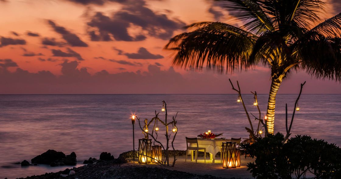 A Sunset Over A Body Of Water In Front Of A Palm Tree